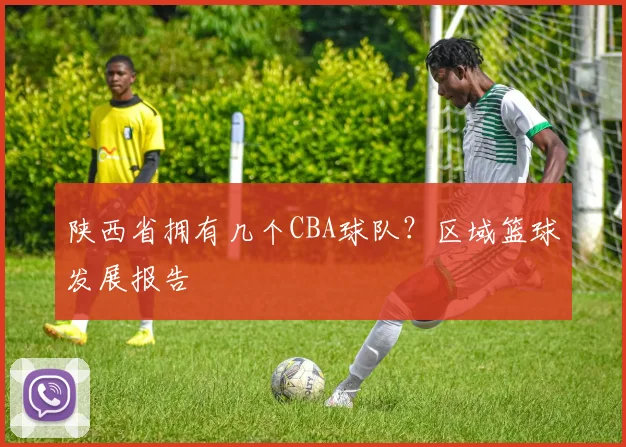 陕西省拥有几个CBA球队?区域篮球发展报告