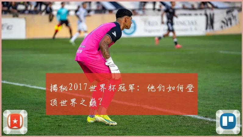 揭秘2017世界杯冠军:他们如何登顶世界之巅?