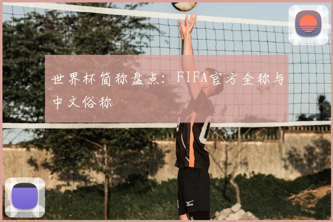 世界杯简称盘点:FIFA官方全称与中文俗称