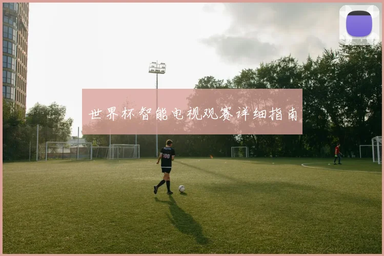 世界杯智能电视观赛详细指南