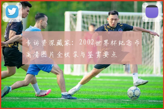 专访资深藏家:2002世界杯纪念币高清图片全收录与鉴赏要点