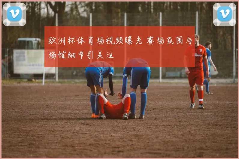 欧洲杯体育场视频曝光 赛场氛围与场馆细节引关注