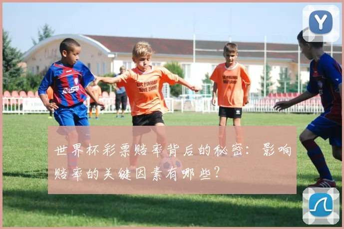 世界杯彩票赔率背后的秘密:影响赔率的关键因素有哪些?