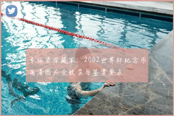 专访资深藏家:2002世界杯纪念币高清图片全收录与鉴赏要点