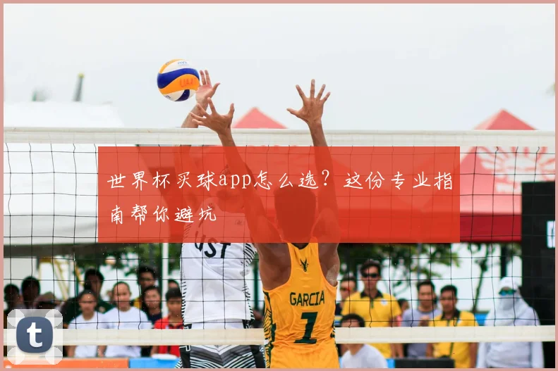 世界杯买球app怎么选?这份专业指南帮你避坑