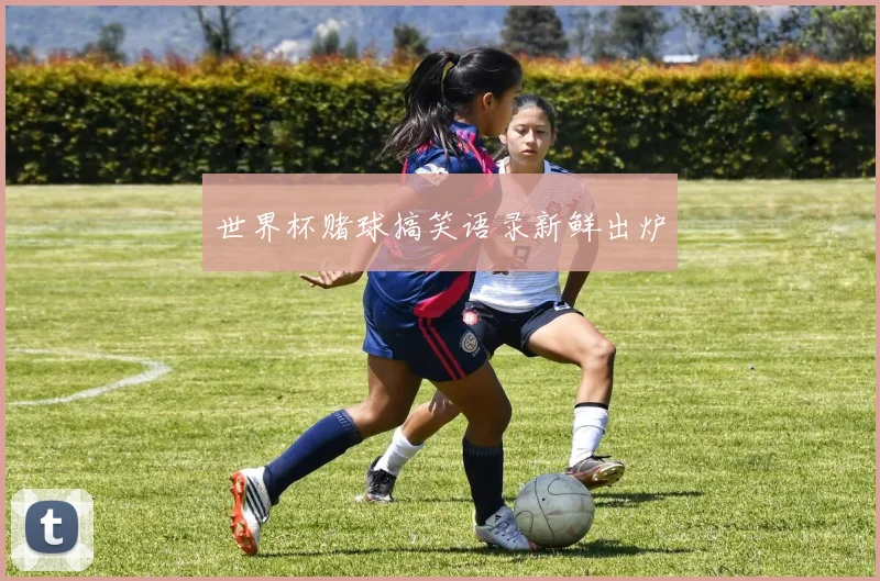 世界杯赌球搞笑语录新鲜出炉