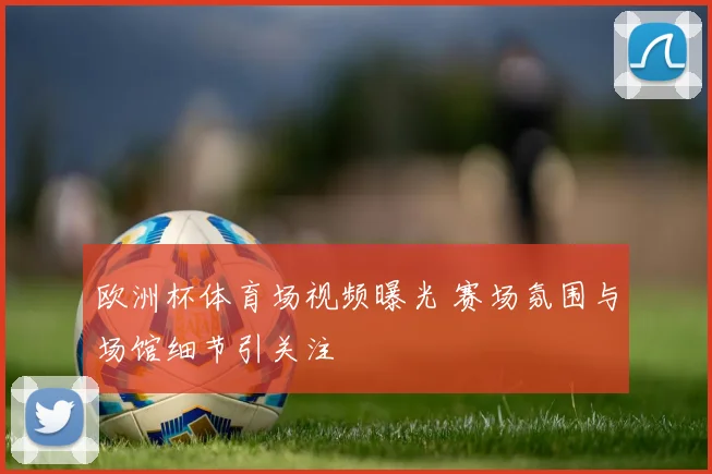 欧洲杯体育场视频曝光 赛场氛围与场馆细节引关注